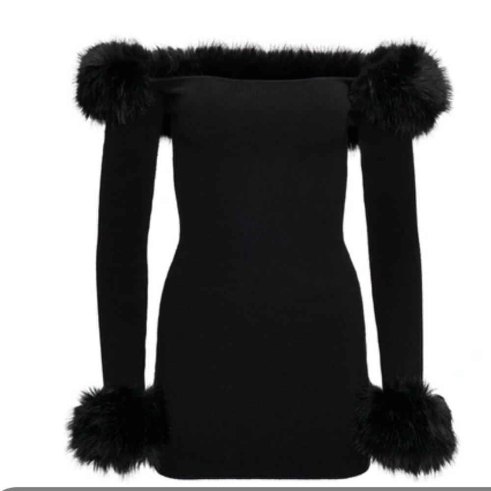 Danielle Guizio NY
Fur dress xs
Worn once